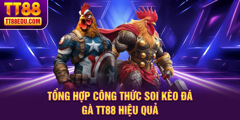 Tổng hợp công thức soi kèo đá gà TT88 hiệu quả