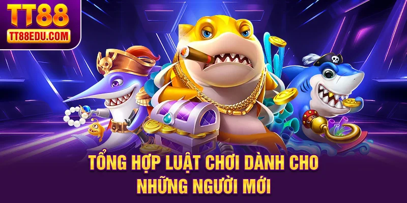 Tổng hợp luật chơi dành cho những người mới