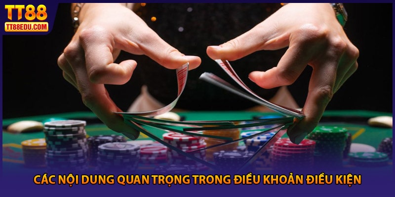 Các nội dung quan trọng trong điều khoản điều kiện